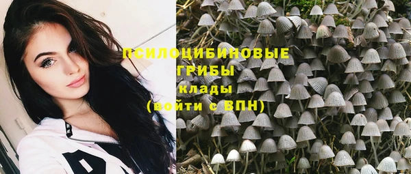 apvp Балабаново