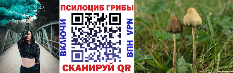 Галлюциногенные грибы MAGIC MUSHROOMS  Купить  Сергач 
